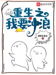 重生之我要冲浪全本已校对版