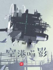 空港喵影txt电子书