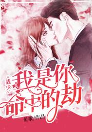 你是我命中的劫安凝全文免费阅读