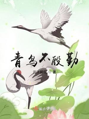 青鸟不飞