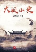大顺史稿pdf