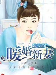 陆少的暖婚新妻易读