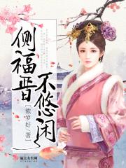 侧福晋服饰
