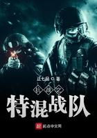 抗日之特战突击队无弹窗