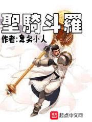 圣斗龙骑士是什么