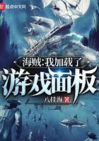 海贼我加载了游戏面板 第501章