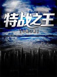 特战之王纵横