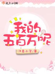 我有五百万歌词