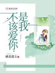 我不该爱你歌词