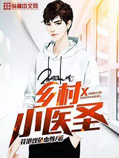 乡村小医圣txt