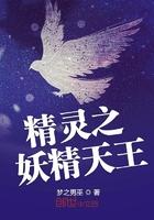 宝可梦之妖精天王