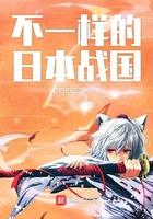 不一样的日本战国时代