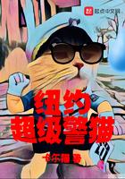 美国纽约警车视频