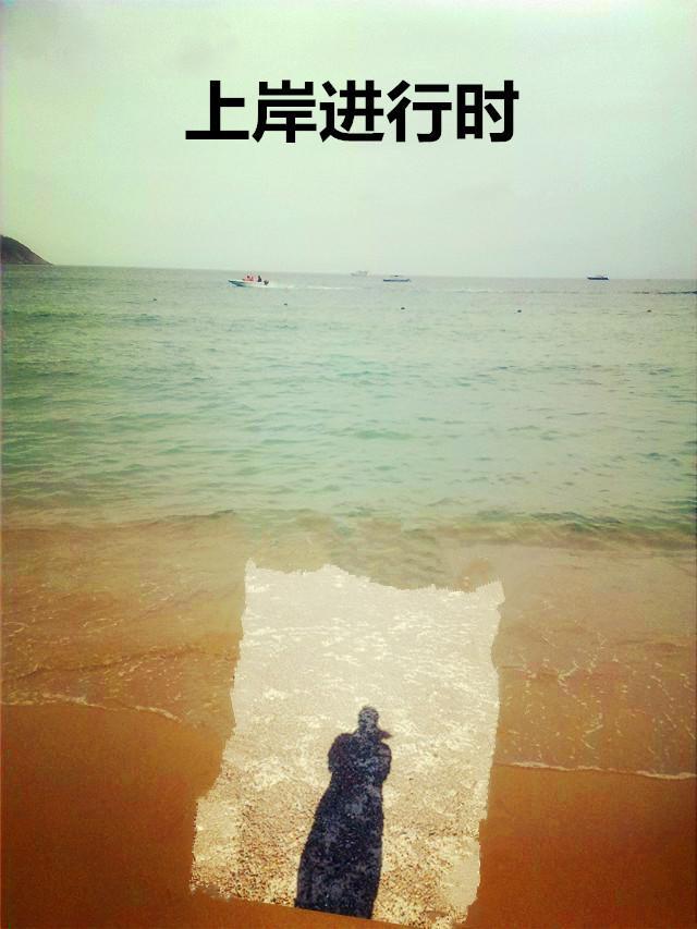 上岸到底是什么意思