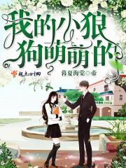 我的小狼狗txt