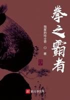 拳之霸者笔