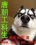 唐朝工科生 顶点