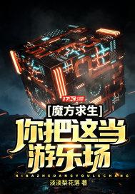 魔方游戏解说