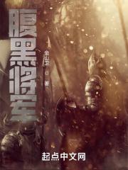 腹黑将军古言