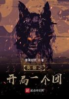 亮剑之开局团长