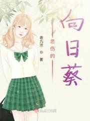向日葵的悲伤花语