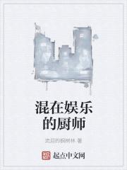 混在娱乐的厨师电视剧