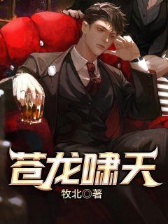 秦如凉沈娴无弹窗免费阅读