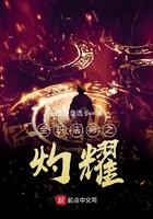 全职法师灼耀免费阅读