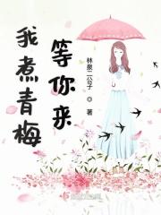 青梅煮酒下一句是什么