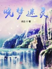 晓梦迷蝶全文阅读