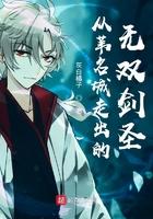 从苇名城走出的无双剑圣 txt