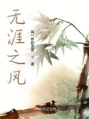 风无涯是什么意思