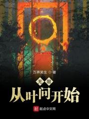 拜师叶问的无限