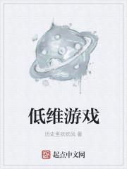 低 维 游 戏