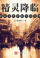 漆黑的魅影5.0精灵进化