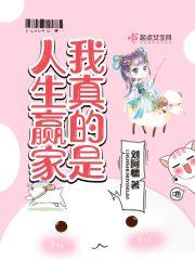 我是人生赢家英语怎么说