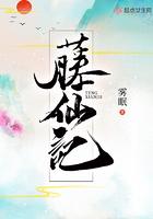 藤仙记百度txt