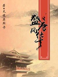 盛唐风华之锦绣传