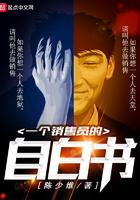 一个销售的自白书txt