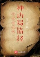 开局易经筋99级123
