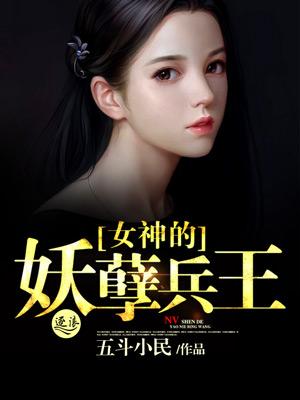 女神的妖孽高手续集
