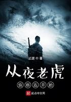 从夜老虎侦察连开始起点
