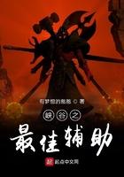 峡谷之最佳 辅助
