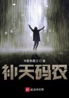 补天码农起点