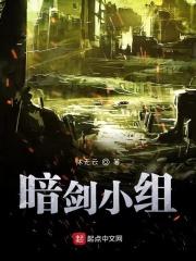 电影暗剑演员