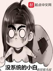小白系统