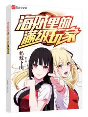 海贼王之满级
