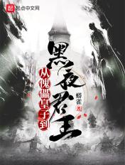 从傀儡皇子到黑夜君王无广告