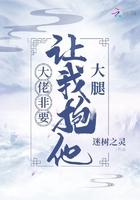 大佬我想要你