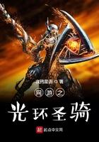网游光环圣骑士